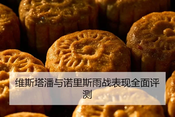 维斯塔潘与诺里斯雨战表现全面评测